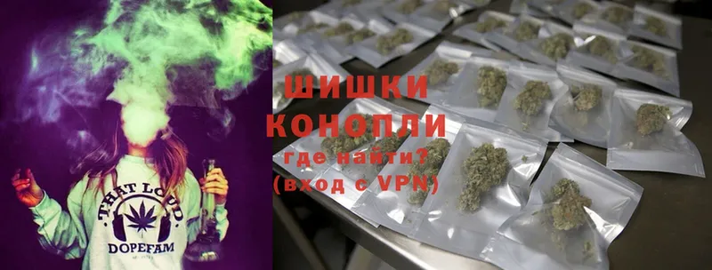 мега онион  Карачаевск  Шишки марихуана OG Kush 